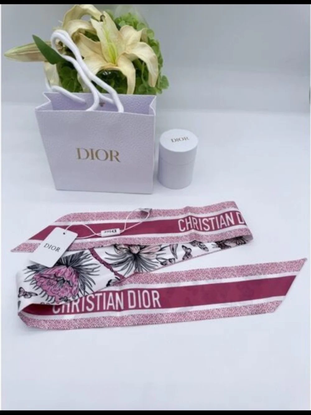 Dior christian butterfly